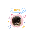 クロクマジャンガリアン（個別スタンプ：20）