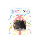 クロクマジャンガリアン（個別スタンプ：21）