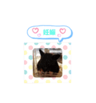 クロクマジャンガリアン（個別スタンプ：27）