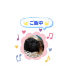 クロクマジャンガリアン（個別スタンプ：29）