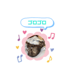 クロクマジャンガリアン（個別スタンプ：38）