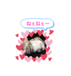 クロクマジャンガリアン（個別スタンプ：39）