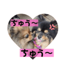 HENTAI BROTHERS with HIME.Pomeranians（個別スタンプ：15）