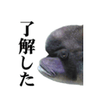 水族会話（個別スタンプ：5）