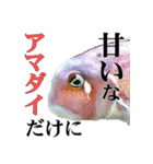 水族会話（個別スタンプ：8）