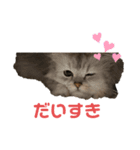 にゃーみるりゅう（個別スタンプ：6）