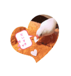 鳥が可愛いすぎてどうしよう1（個別スタンプ：2）