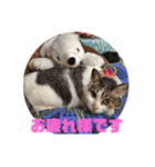つかさの気持ち♪（個別スタンプ：6）
