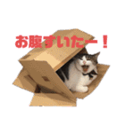 つかさの気持ち♪（個別スタンプ：14）
