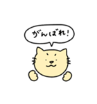 おバカなワンちゃんとやさしいネコちゃん（個別スタンプ：7）