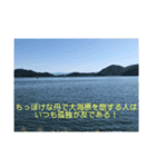 しょうやんの日常使える名言スタンプその2（個別スタンプ：8）