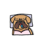 屋美子（個別スタンプ：1）
