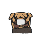 屋美子（個別スタンプ：4）