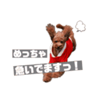 でこぼこ3プードルのスタンプ（個別スタンプ：11）