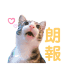 かぎさんと紫苑 2（個別スタンプ：4）