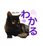 かぎさんと紫苑 2（個別スタンプ：6）