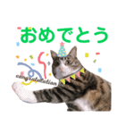 かぎさんと紫苑 2（個別スタンプ：12）
