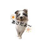 かてすた（個別スタンプ：1）