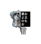 かてすた（個別スタンプ：2）