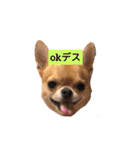 かてすた（個別スタンプ：3）