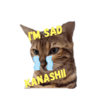 Nukosama English3 with friends日本語英語（個別スタンプ：3）