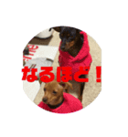 beatgoon5（個別スタンプ：3）