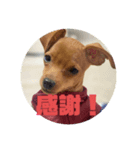 beatgoon5（個別スタンプ：6）