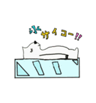 激しい熊さん（個別スタンプ：7）