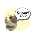 くるとチルのスタンプ2（個別スタンプ：4）