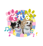うちのわんこをなんとなく（個別スタンプ：2）