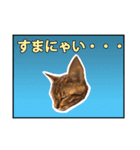 ベンガルのルル（個別スタンプ：4）