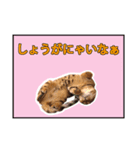ベンガルのルル（個別スタンプ：7）