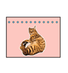 ベンガルのルル（個別スタンプ：8）