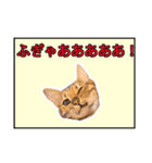 ベンガルのルル（個別スタンプ：9）
