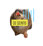 Latímal（個別スタンプ：3）