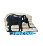 ゆかいな動物コレクション（個別スタンプ：21）