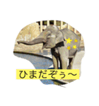 ゆかいな動物コレクション（個別スタンプ：22）