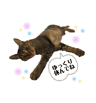 我が家の猫 るるちゃん2（個別スタンプ：10）