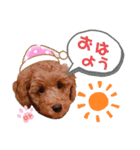 レオ♡ロト♡挨拶＆お散歩＆天気＆季節（個別スタンプ：1）