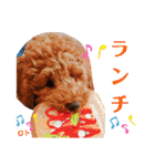 レオ♡ロト♡挨拶＆お散歩＆天気＆季節（個別スタンプ：3）