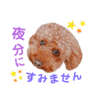 レオ♡ロト♡挨拶＆お散歩＆天気＆季節（個別スタンプ：5）