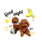 レオ♡ロト♡挨拶＆お散歩＆天気＆季節（個別スタンプ：8）