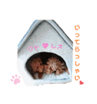 レオ♡ロト♡挨拶＆お散歩＆天気＆季節（個別スタンプ：10）