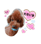 レオ♡ロト♡挨拶＆お散歩＆天気＆季節（個別スタンプ：13）