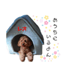 レオ♡ロト♡挨拶＆お散歩＆天気＆季節（個別スタンプ：17）