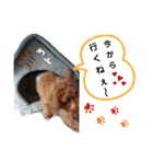レオ♡ロト♡挨拶＆お散歩＆天気＆季節（個別スタンプ：18）