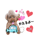 レオ♡ロト♡挨拶＆お散歩＆天気＆季節（個別スタンプ：22）