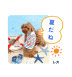 レオ♡ロト♡挨拶＆お散歩＆天気＆季節（個別スタンプ：29）