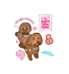 レオ♡ロト♡挨拶＆お散歩＆天気＆季節（個別スタンプ：37）