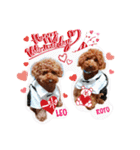 レオ♡ロト♡挨拶＆お散歩＆天気＆季節（個別スタンプ：39）